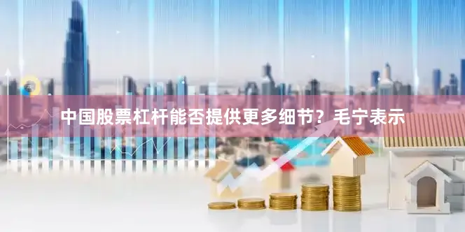 中国股票杠杆能否提供更多细节？毛宁表示