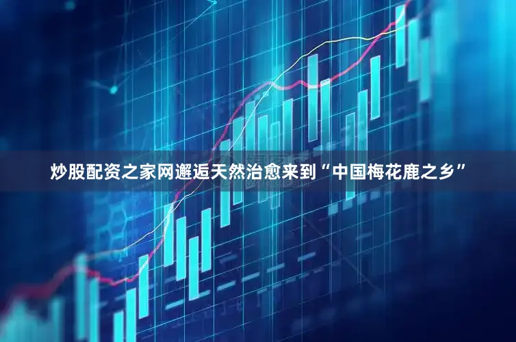 炒股配资之家网邂逅天然治愈来到“中国梅花鹿之乡”