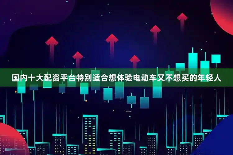 国内十大配资平台特别适合想体验电动车又不想买的年轻人