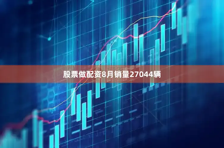 股票做配资8月销量27044辆