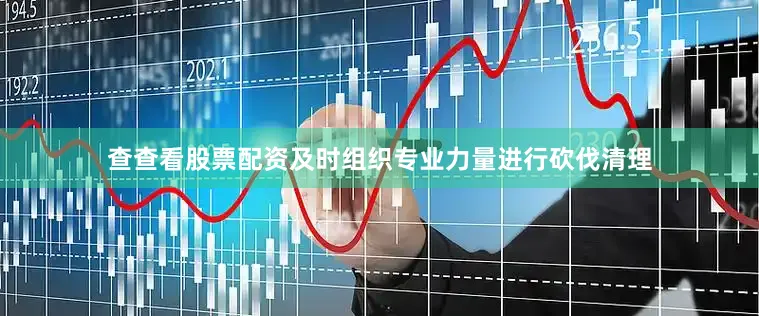 查查看股票配资及时组织专业力量进行砍伐清理